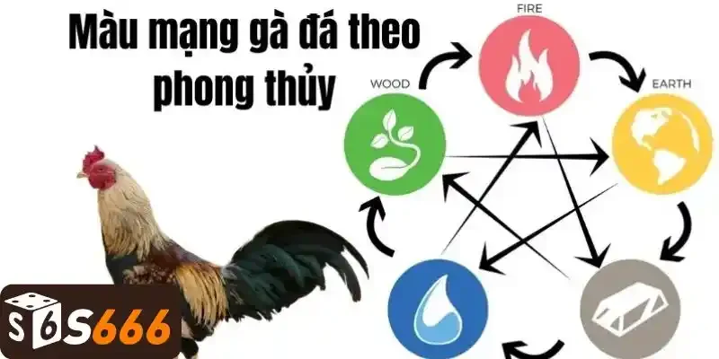 Gà Kỳ Lân - Cách Nuôi Dưỡng Để Phát Triển Tối Đa Tiềm Năng